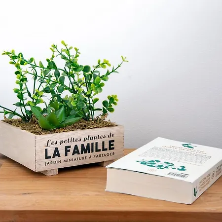 Διαμέρισμα Prime Location Hyper Center Ideal For Couples & Families - Walk Everywhere - Smart By Totolulucannes Κάννες